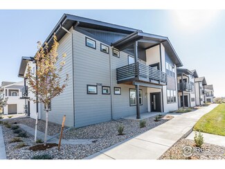 2120 Falling Leaf Dr Unit 5, Windsor, CO 80550