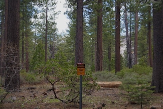1548 Iroquois Cir, South Lake Tahoe, CA 96150