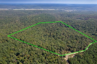 County Rd 411, Fredericktown, MO 63645