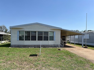 35804 Brisa Dr, Zephyrhills, FL 33541