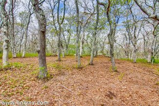 98 Kings Hwy, Chilmark, MA 02535