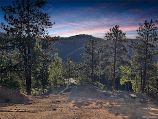 4501 County Road 72, Bailey, CO 80421