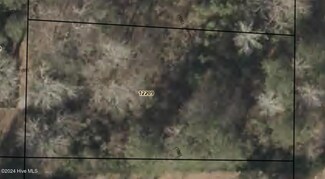 00 Pine Forest Rd, Ayden, NC 28513