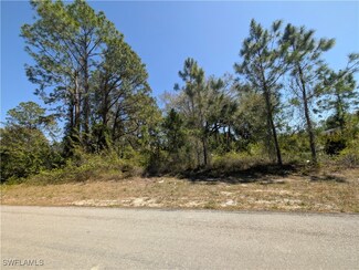 3700 Elaine Ave N, Lehigh Acres, FL 33971