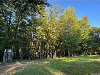 168 Pole Ranch Spur, Shirley, AR 72031