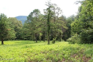 0 Top Side Rd Unit 1254118, Jamestown, TN 38556