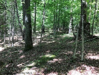 TBD Harpertown Rd, Elkins, WV 26241