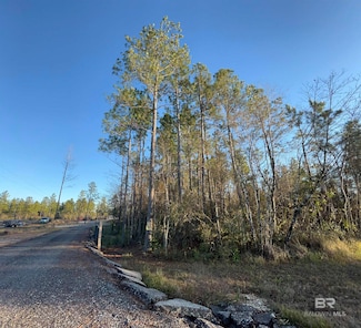 28490 Goat Cooper Rd, Robertsdale, AL 36567