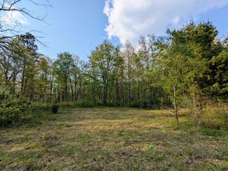 V/L Caberfae Hwy, Wellston, MI 49689