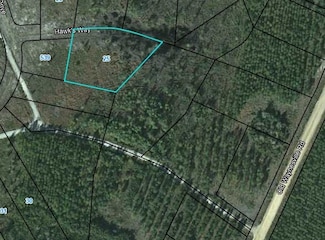 25 Hawk's Way, Waynesville, GA 31566