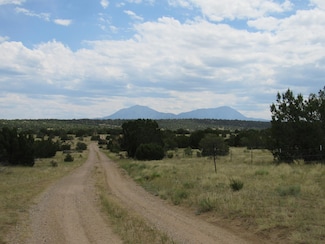 0 Twin Lakes Ranch Unit Lot 98 24-755, Walsenburg, CO 81089