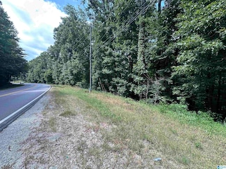 3413 15th Street Rd Unit 9, Bessemer, AL 35023