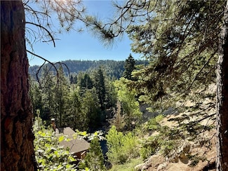 872 Sierra Vista Dr Unit 30, Twin Peaks, CA 92391