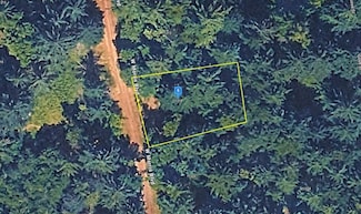 11219 W Morris Blvd, Ketron Island, WA 98388