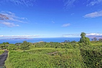 620 Keoni Place, Kula, HI 96790