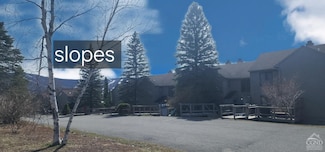 69 Windham Ridge Rd Unit 16F, Windham, NY 12496