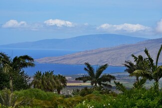1000 Holopuni Rd, Kula, HI 96790