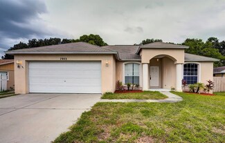 7953 43rd Ave N, Saint Petersburg, FL 33709