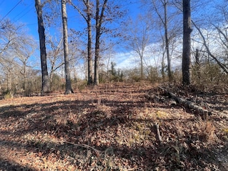 0 Ehrich Ave Unit 1515513, Bridgeport, AL 35740