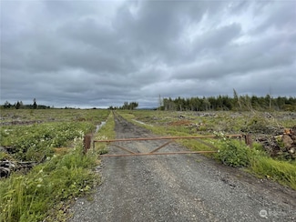 3 XX Centralia Alpha Rd, Onalaska, WA 98570