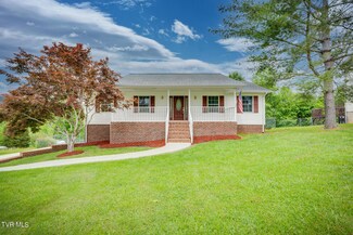 217 Beechnut Hills, Church Hill, TN 37642