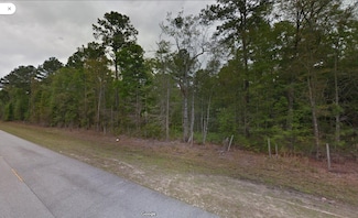 2601 Buck Swamp Rd, Brunswick, GA 31523