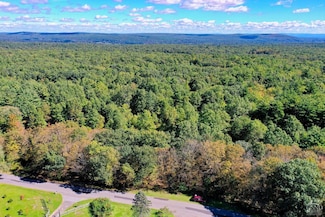 204 Joel M Austin Rd, Cairo, NY 12413