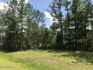 73 Pier Point Rd S, Oriental, NC 28571