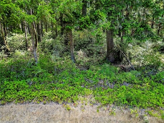 10205 Eckenstam Johnson Rd, Anderson Island, WA 98303