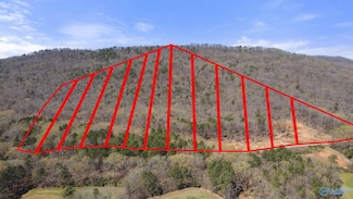 C 900 County Road 114, Scottsboro, AL 35769