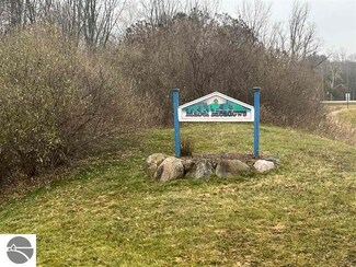 Lot 11 Cushman Ct, Whitewater Township, MI 49690