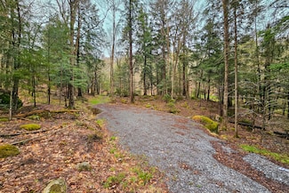Lot 6 Gilbert Rd, Inlet, NY 13360