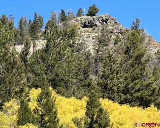 4462 County Road 25, Powderhorn, CO 81243