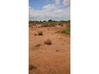 14200 Fort Selden, Clint, TX 79836