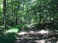 0 Neafus Rd, Morgantown, KY 42261