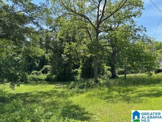 2.19 acres W Broad St Unit 1, Wedowee, AL 36278