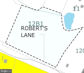 0 Roberts Ln Unit VACU2012112, Rixeyville, VA 22737