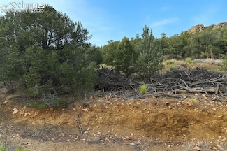 2973 Driftwood Rd, Westcliffe, CO 81252