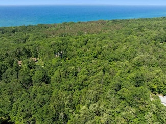 3929 Topside Dr Unit 59, Harbor Springs, MI 49740