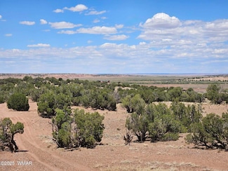 27 N 9183, Concho, AZ 85924
