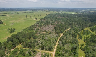 03 Cardinal, Hempstead, TX 77445