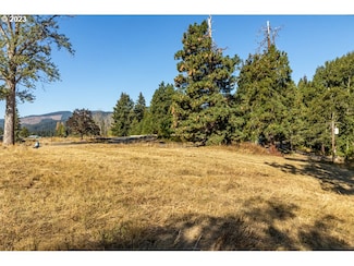 0 Lot 30 Husum Greens, Whitesalmon, WA 98672