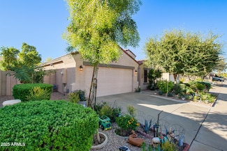 8313 W Gross Ave, Tolleson, AZ 85353