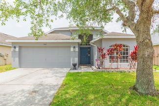 34447 Blue Ash Ct, Wesley Chapel, FL 33545