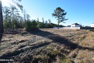 0 Warbler Dr, New Bern, NC 28560