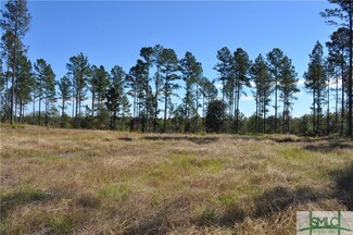 0 Captain Cone Lot #12 Ct Unit 182023, Brooklet, GA 30415