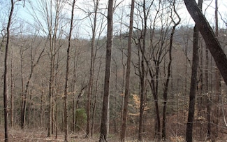 7 Fodder Creek Mill Rd, Hiawassee, GA 30546