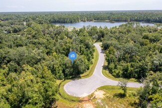 Lot 8 Little River Cir, Wewahitchka, FL 32465