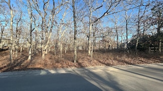 56 Holmes Hole Rd, Oak Bluffs, MA 02568