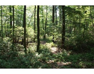 0 Jennison Rd, Wendell, MA 01379